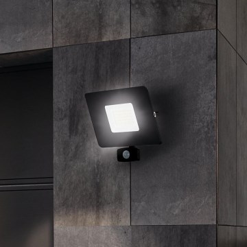 Eglo - LED Flood light with sensor LED/50W/230V IP44