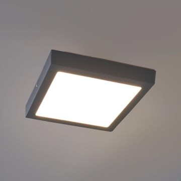 Eglo - LED outdoor ceiling light LED/22W