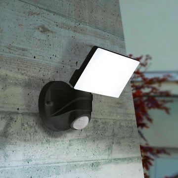 Eglo - LED Outdoor light with sensor LED/15W/230V IP44