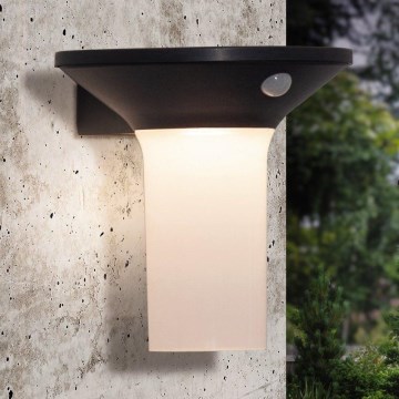 Eglo - LED Outdoor Solar Light with Sensor 6xLED/0,03W/3,7V IP44