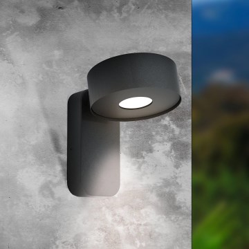 Eglo - LED Outdoor wall light LED/6W/230V IP44