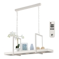 Eglo - LED RGB Dimming chandelier on a chain 5xLED/6W/230V + remote control