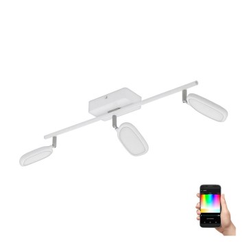 Eglo - LED RGB Spotlight PALOMBARE-C 3xLED/5W/230V