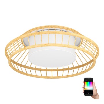 Eglo - LED RGBW Dimmable ceiling light LED/22W/230V 2700-6500K