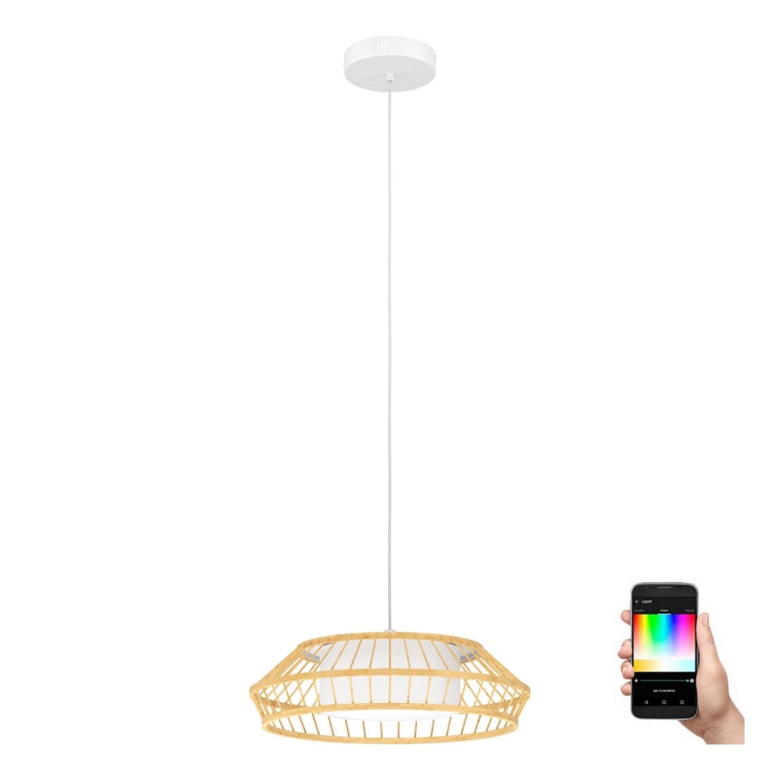 Eglo - LED RGBW Dimmable chandelier on a string LED/22W/230V 2700-6500K