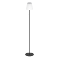Eglo - LED solar rechargeable standing lamp LED/2,3W/3,7V 3000/4000/6500K 1800 mAh IP44 black