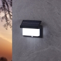 Eglo - LED Solar wall light with sensor LED/3,84W/3,7V 2000 mAh IP44
