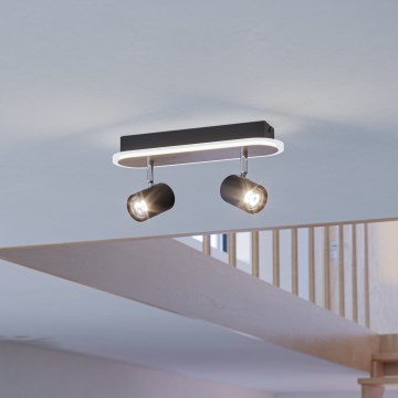 Eglo - LED Spotlight, 12W/230V, Brown/Black