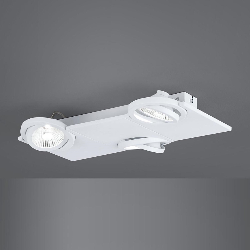 Eglo - LED spotlight 3xLED/5W/230V/12V