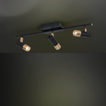 Eglo - LED spotlight  3xLED/5W/230V/12V