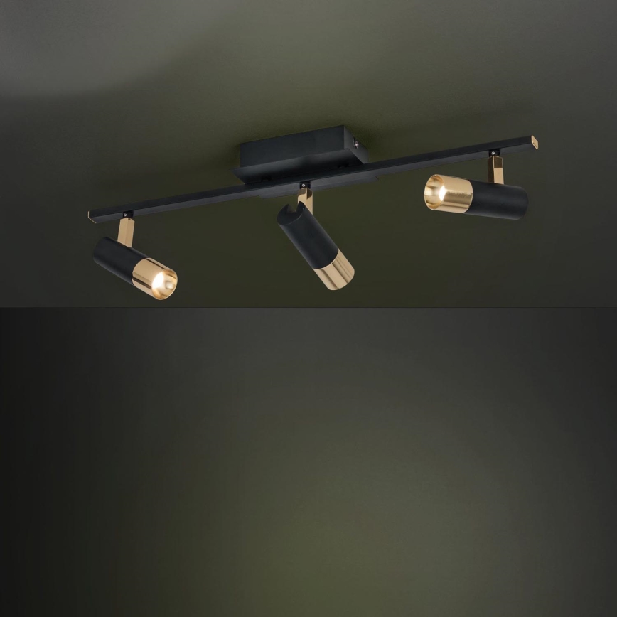 Eglo - LED spotlight  3xLED/5W/230V/12V