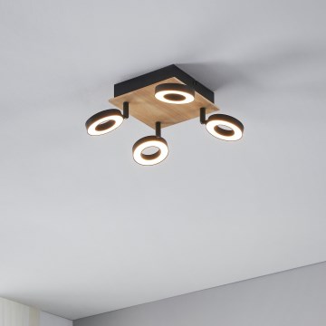 Eglo - LED Spotlight 4xLED/4.2W/230V Black/Brown