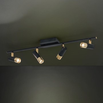 Eglo - LED spotlight  4xLED/5W/230V/12V
