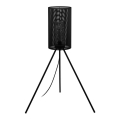 Eglo - Outdoor floor lamp 1xE27/40W/230V IP44