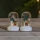 Eglo - SET 2x LED Christmas decorations 1xLED/0,03W/1xCR2032