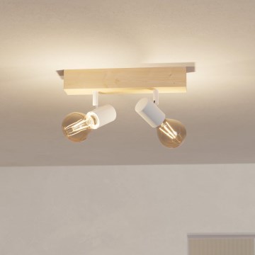 Eglo - Spotlight TOWNSHEND 2xE27/60W/230V - FSC certified