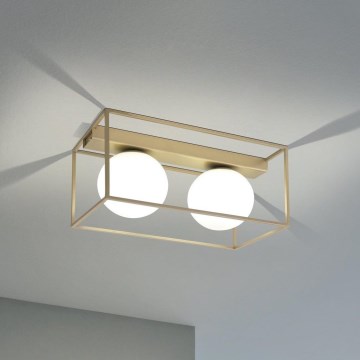 Eglo - Surface-mounted chandelier 2xE14/40W/230V