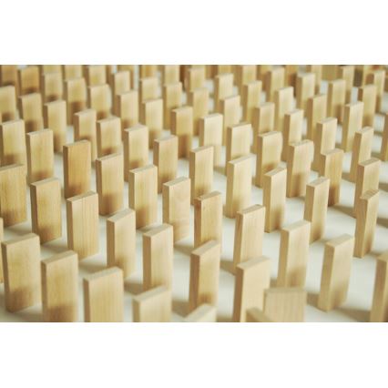 EkoToys - Wooden dominoes 830 pcs beech
