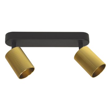 ELAN spotlight 2xGU10/30W/230V gold/black