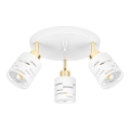 ELEN Spotlight 3xE27/35W/230V White/Gold