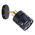 ELEN Wall-Mounted Spotlight 1xE27/35W/230V Black/Gold