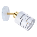 ELEN Wall-Mounted Spotlight 1xE27/35W/230V White/Gold