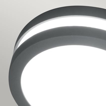 Elstead - LED Outdoor wall light ANO 1xGX53/9W/230V IP54
