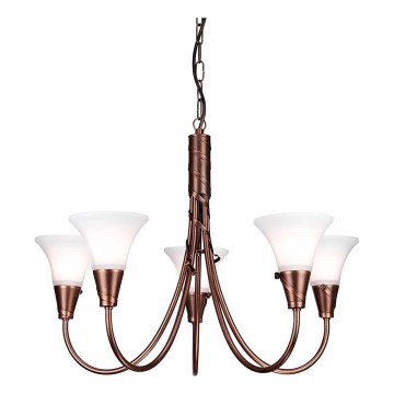 Elstead - Chandelier on a chain EMILY 5xE14/40W/230V