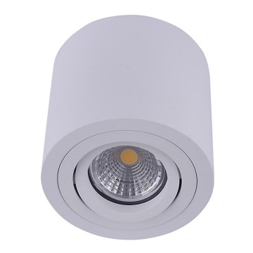 Emithor 48606 - Ceiling spotlight SURFACE 1xGU10/50W/230V