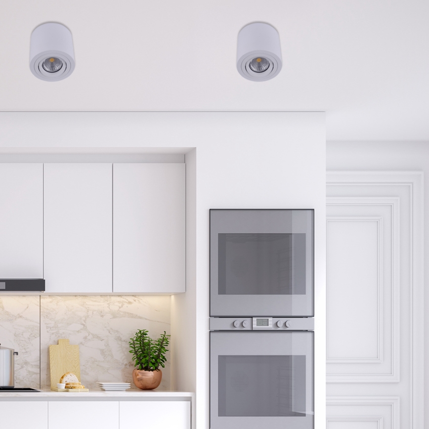 Emithor 48606 - Ceiling spotlight SURFACE 1xGU10/50W/230V