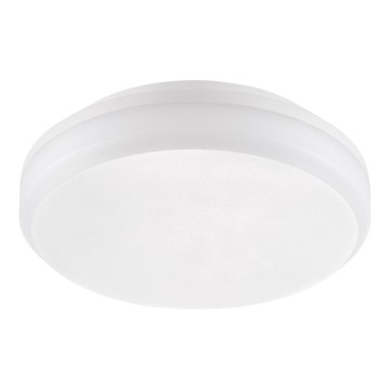 Emithor 63206 - LED Work ceiling light SURFACE 1xLED/20W/230V IP65