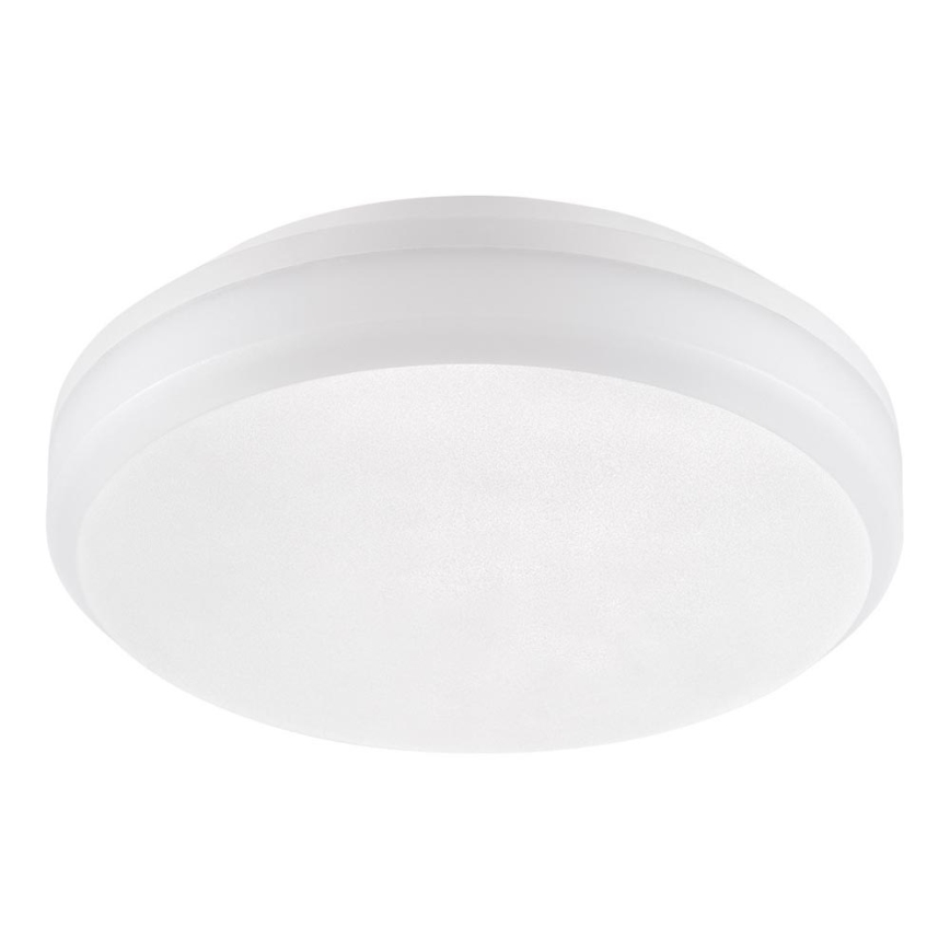 Emithor 63207 - LED Work ceiling light SURFACE 1xLED/30W/230V IP65