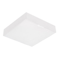 Emithor 63217 - Surface-mounted LED Ceiling Light / 20W / 230V