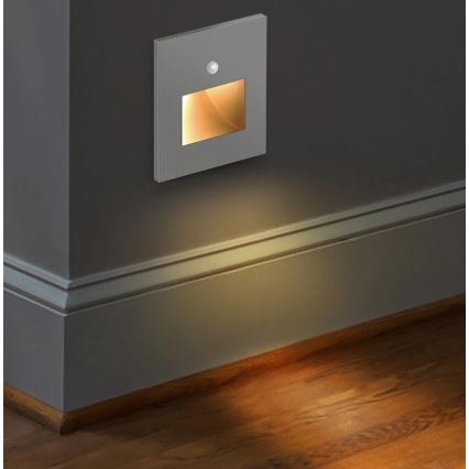 Emithor 70416 - LED Staircase light with a sensor SUNNY LED/1W/230V 4000K grey