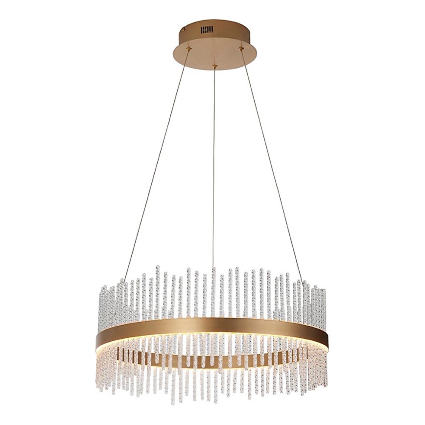 Endon 107671 - LED Dimmable chandelier on a string ADRIEL LED/41W/230V 3000K d. 51 cm gold/clear