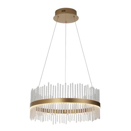 Endon 107671 - LED Dimmable chandelier on a string ADRIEL LED/41W/230V 3000K d. 51 cm gold/clear