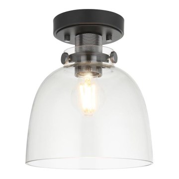 Endon 99106 - Ceiling light URBAN 1xE27/10W/230V black/clear