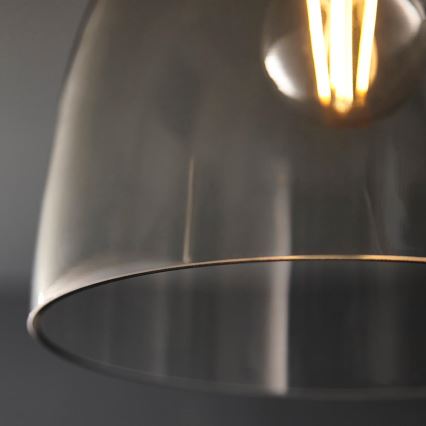 Endon 99106 - Ceiling light URBAN 1xE27/10W/230V black/clear