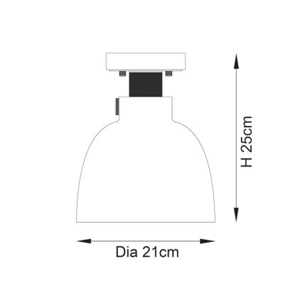 Endon 99106 - Ceiling light URBAN 1xE27/10W/230V black/clear