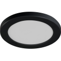 ERGA 2-in-1 LED Ceiling/Recessed Fixture LED/17W/230V 3000/4000/6500K Black