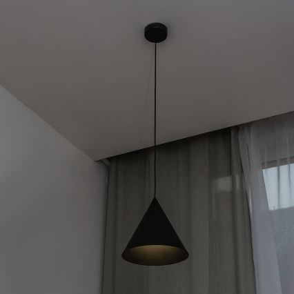 ETNA Cable Pendant Light 1xE27/15W/230V Ø25 cm Black