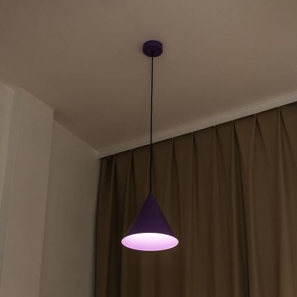 ETNA cable pendant light 1xE27/15W/230V, Ø25 cm, purple