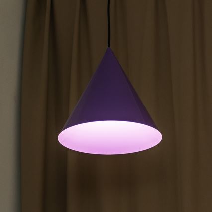 ETNA cable pendant light 1xE27/15W/230V, Ø25 cm, purple