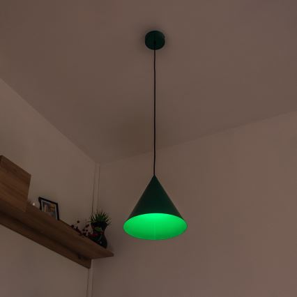 ETNA Cord Pendant Light 1xE27/15W/230V Ø 25 cm Green