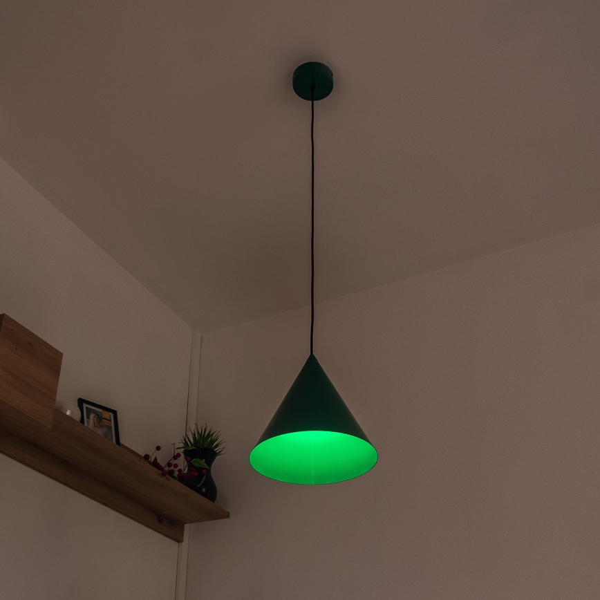 ETNA Cord Pendant Light 1xE27/15W/230V Ø 25 cm Green