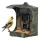 Evolveo - StrongVision BirdFeeder - Smart Bird Feeder with Camera and Solar Panels