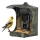 Evolveo - StrongVision BirdFeeder - smart bird feeder with integrated camera