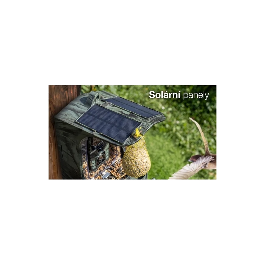 Evolveo - StrongVision BirdFeeder - smart bird feeder with integrated camera