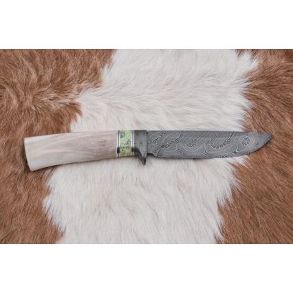 Exclusive Damascus knife 13 cm serpentinite/reindeer antler
