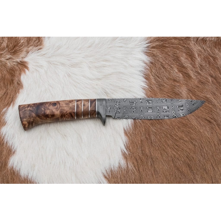 Exclusive Damascus knife 14,4 cm chestnut tree/mammoth tooth